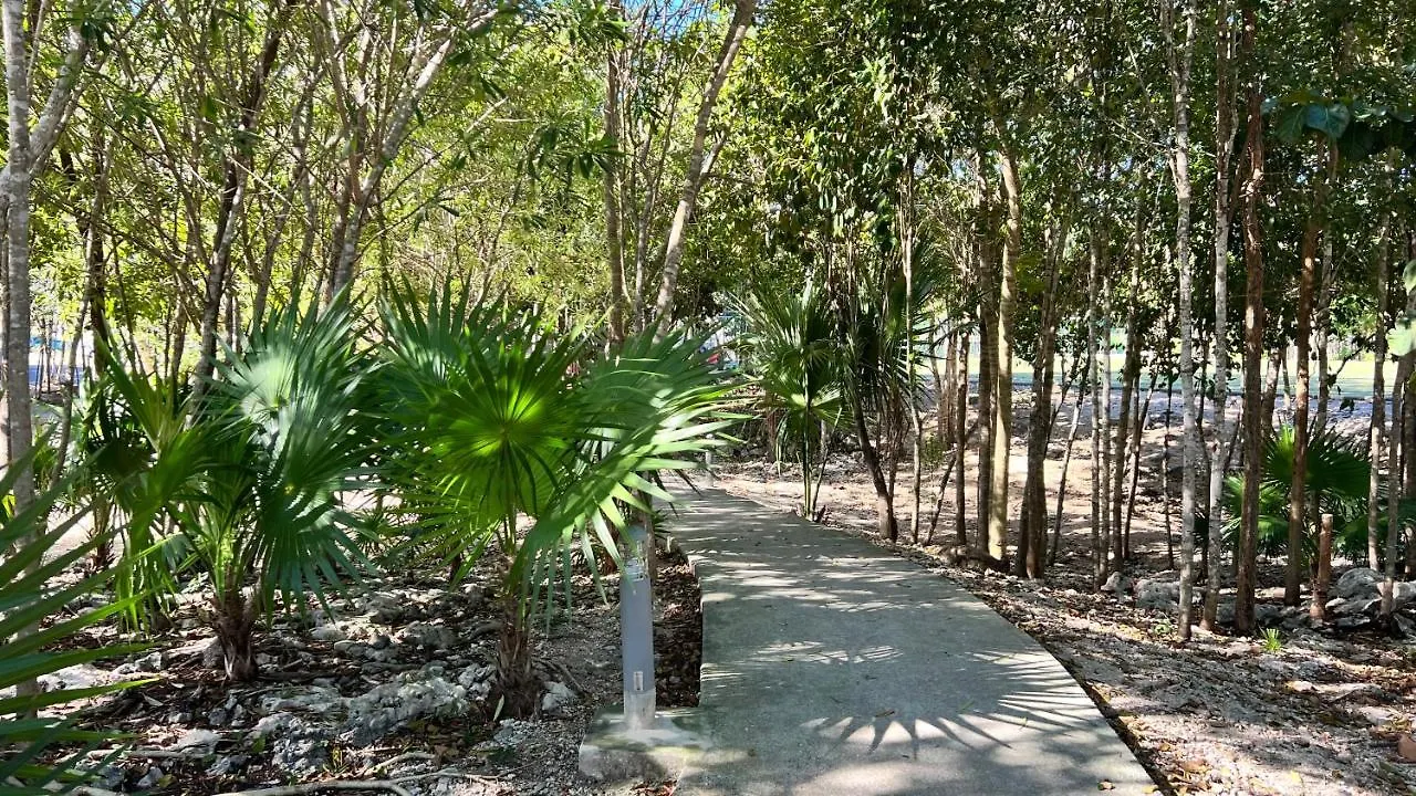 Kingulingu'S Cancun Apartament
